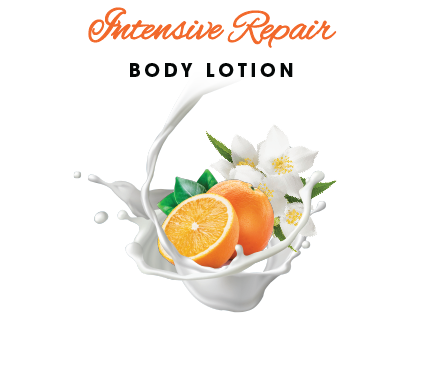 gallery/images/products/636240526d0234.29999851.png